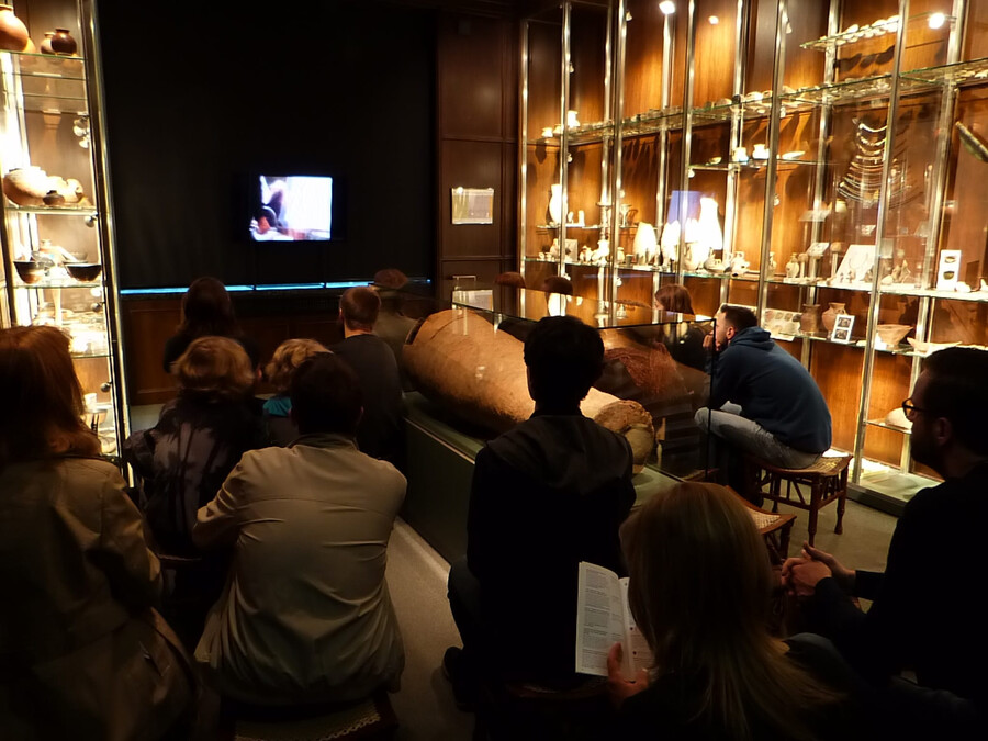 Foto mit Zuschauer*innen einer Filmvorf&uuml;hrung im Rahmen der Langen Nacht der Wissenschaft im &Auml;gyptischen Museum